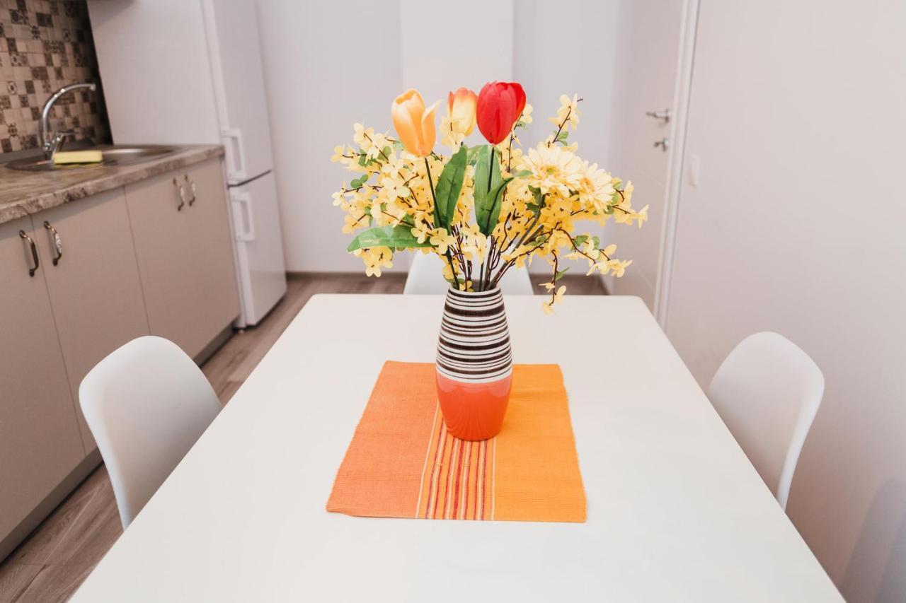 One Room Apart T3 With Free Parking Κλουζ-Ναπόκα Εξωτερικό φωτογραφία